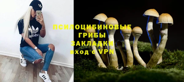 COCAINE Няндома
