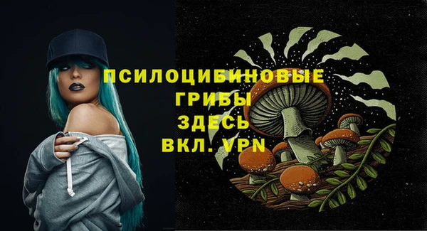 2c-b Сафоново