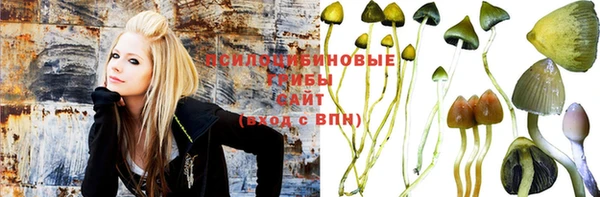 spice Великий Новгород
