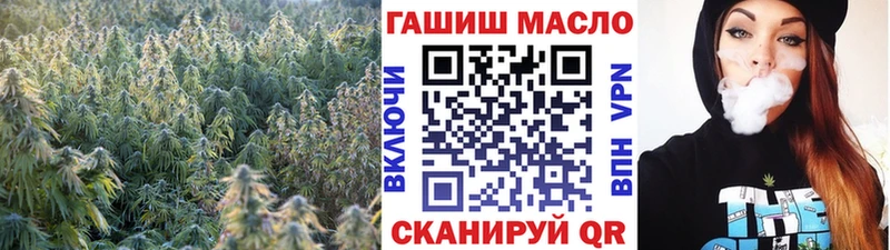 ТГК гашишное масло  купить   Зима 