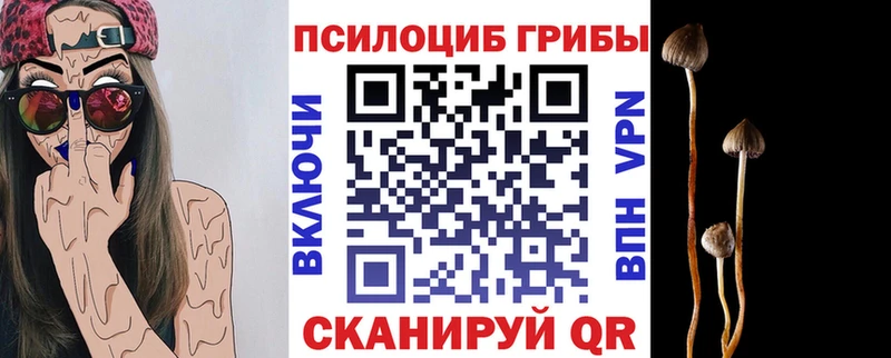 Псилоцибиновые грибы ЛСД Зима