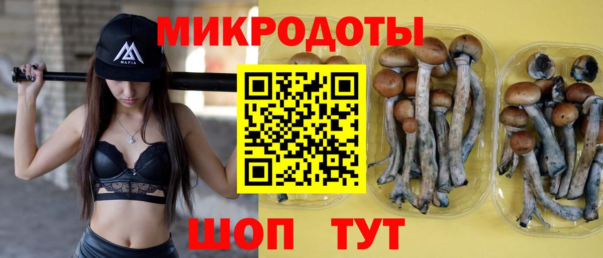 Зима  Галлюциногенные грибы MAGIC MUSHROOMS  Псилоцибиновые грибы мухоморы  Вход с VPN 