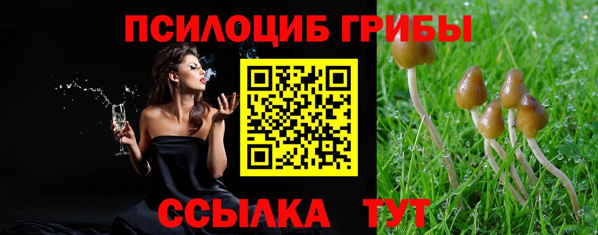 Галлюциногенные грибы GOLDEN TEACHER Зима