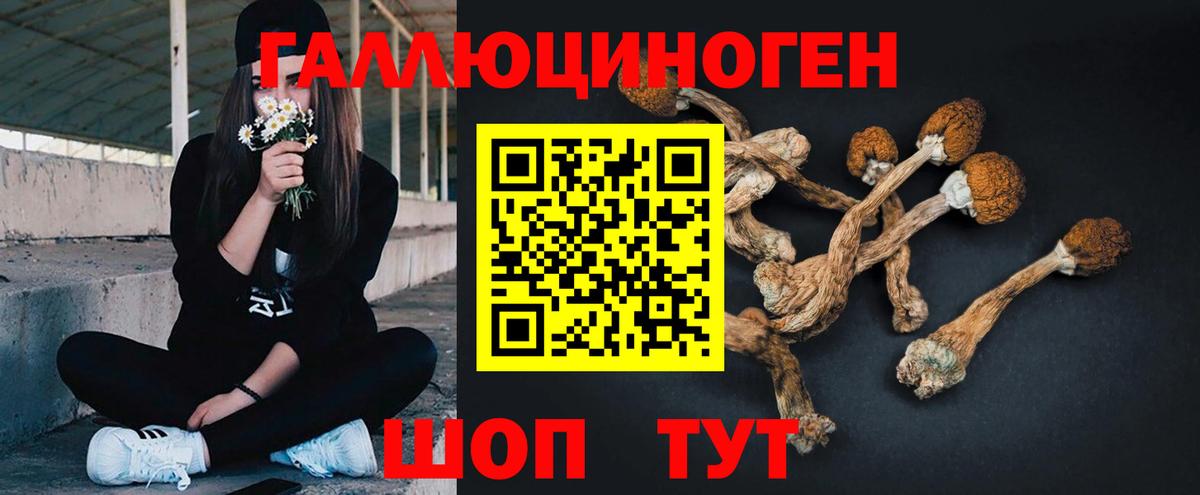 Галлюциногенные грибы GOLDEN TEACHER Зима