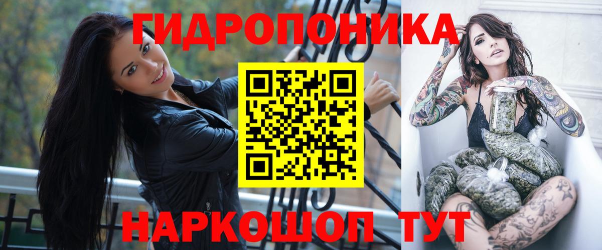 ГАШ Зима