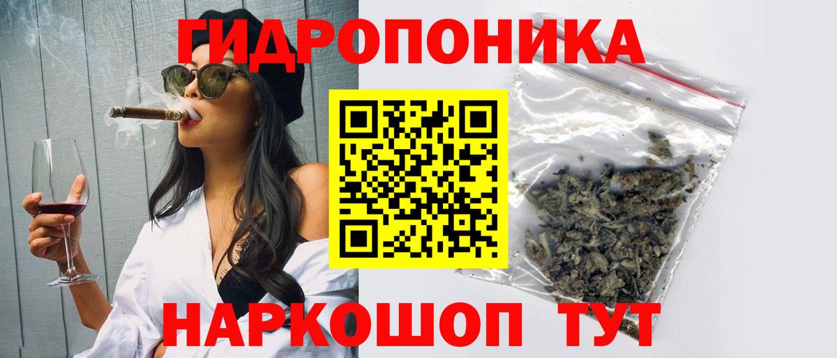 Зима  Конопля план  МАРИХУАНА план  Каннабис Bruce Banner  Вход с VPN 