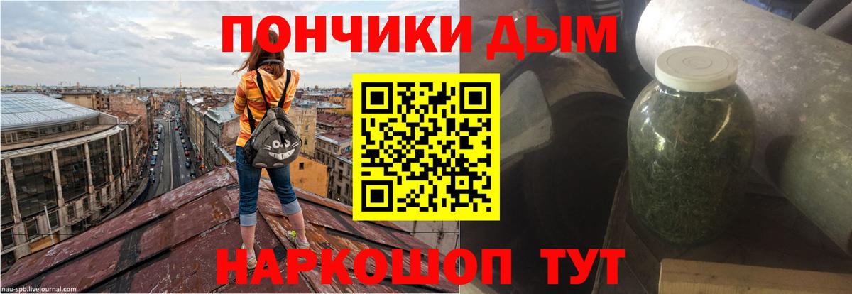 Конопля гибрид Зима