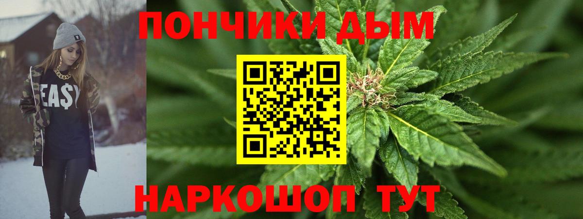 Псилоцибиновые грибы Зима